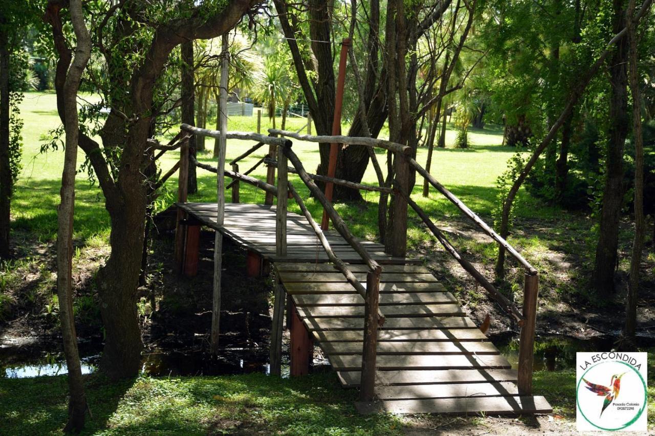 Chacra La Escondida Villa Colonia del Sacramento Luaran gambar